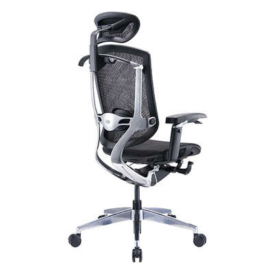 Lift Ergonomic Office Chair Black PA Frame High End True Design