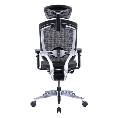 Lift Ergonomic Office Chair Black PA Frame High End True Design